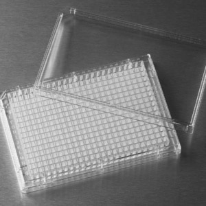 Corning® 384-well Clear Flat Bottom Polystyrene Microplate