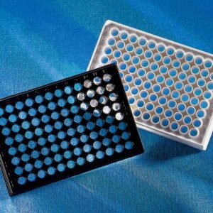 Corning 96 Well Flat Clear Bottom Polystyrene Multicoated Microplates, with Lid