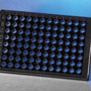 Corning® 96-well High Content Screening Microplates with Glass Bottom