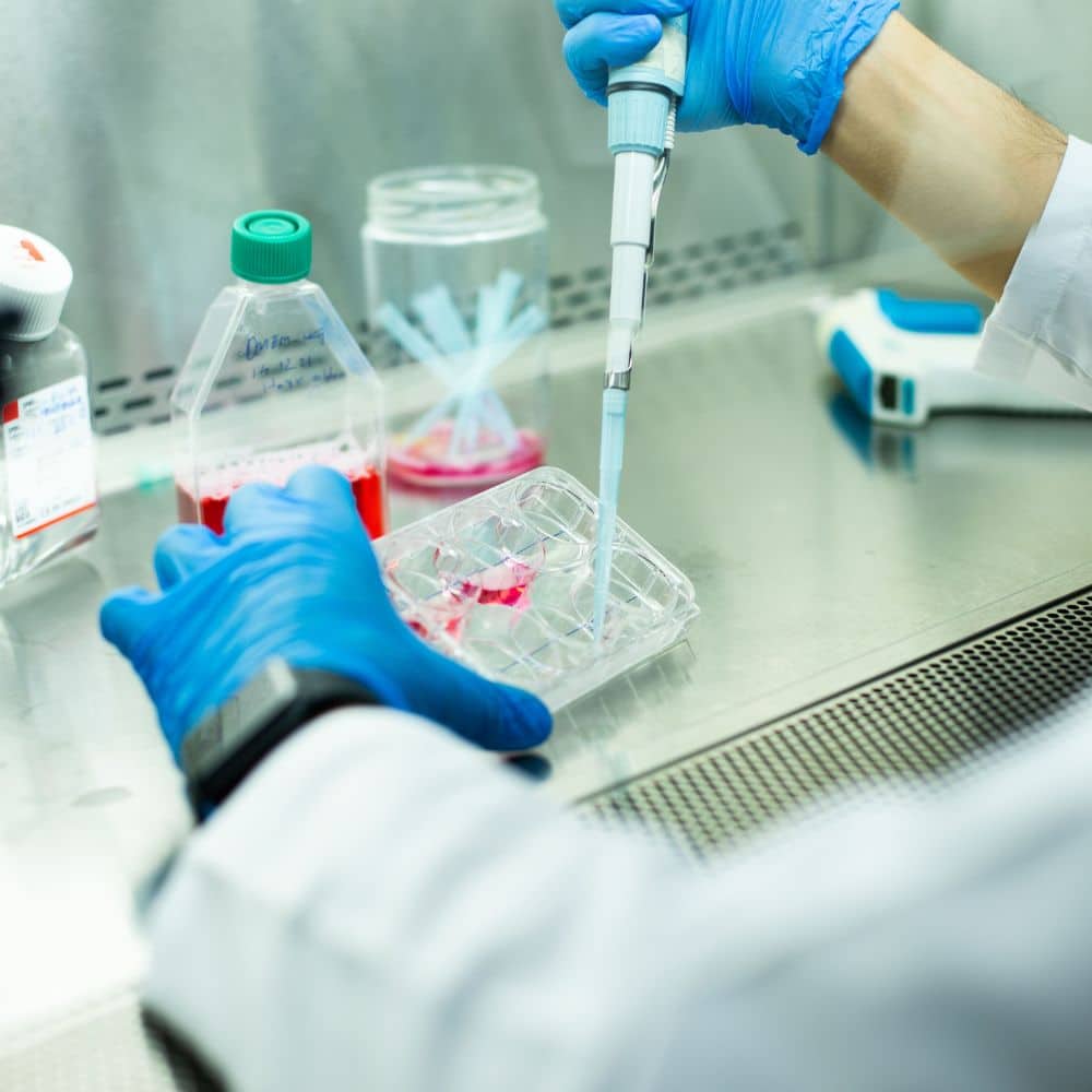 Cell Culture Formulation Development and Testing