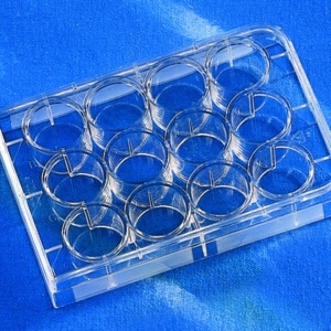 Corning® 12-well Clear Multiple Well Plates