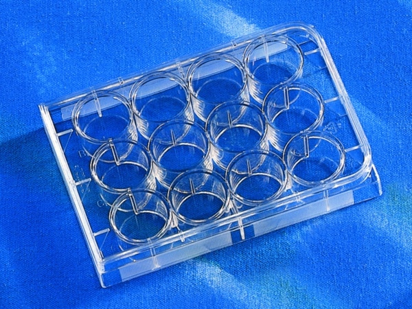 Corning® 12-well Clear Multiple Well Plates