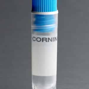 Corning® 2 mL Blue Cap Internal Threaded Polypropylene Cryogenic Vial, Self-Standing with Round Bottom