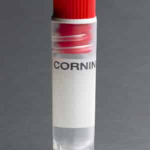 Corning® 2 mL Red Cap Internal Threaded Polypropylene Cryogenic Vial, Self-Standing with Round Bottom
