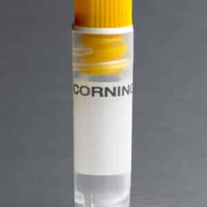 Corning® 2 mL Yellow Cap Internal Threaded Polypropylene Cryogenic Vial, Self-Standing with Round Bottom