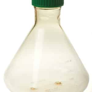 CellTreat Fernbach Flask, 3L, Vent Cap, Plain Bottom, Sterile