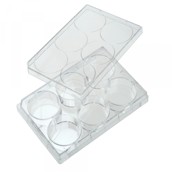 CELLTREAT 6 Well Non-treated Plate with Lid, Sterile