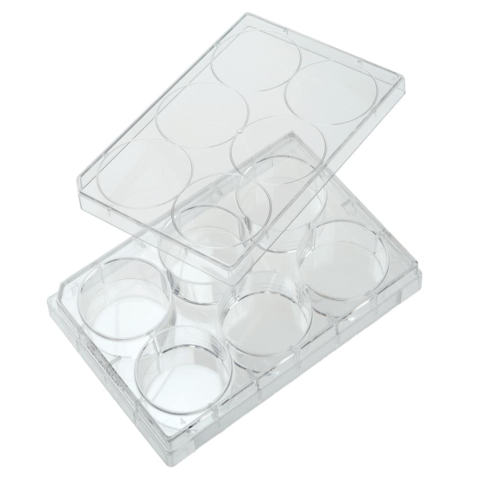 6-well-tissue-culture-plate-with-lid-individual-sterile-quality