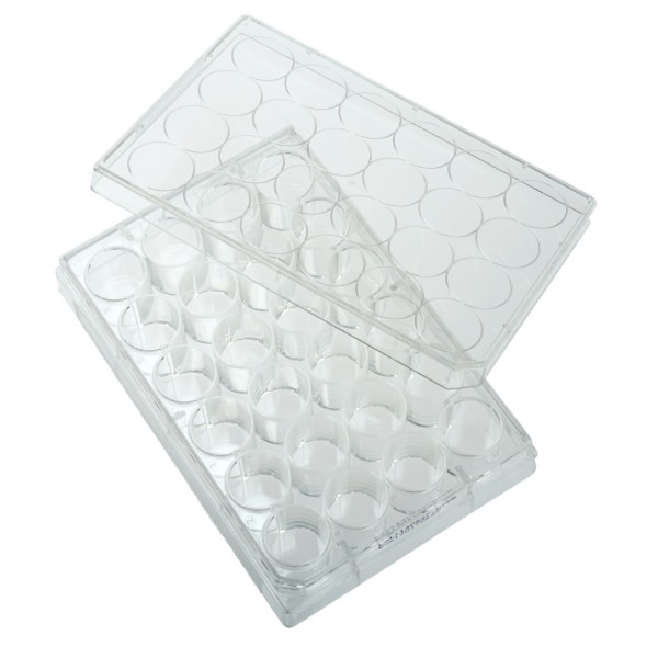 CELLTREAT 24 Well Tissue Culture Plate with Lid, Sterile