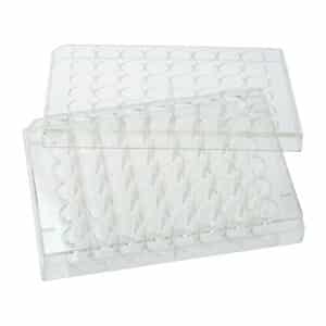 CELLTREAT 48 Well Tissue Culture Plate with Lid, Sterile