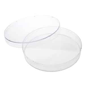 Petri Dish - 100mm x 15mm, Sterile, CellTreat