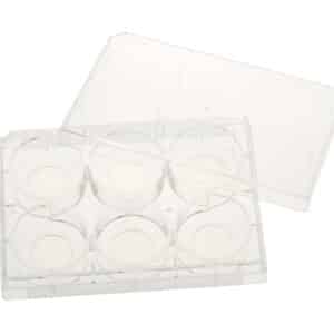 CELLTREAT 6 Well Tissue Culture Plate with Glass Bottom and Lid