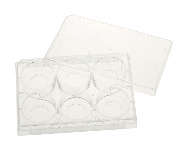 CELLTREAT 6 Well Tissue Culture Plate with Glass Bottom and Lid