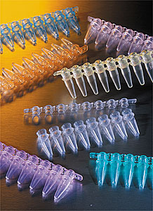 Corning® Thermowell® GOLD and Thermowell PCR Tube Strips