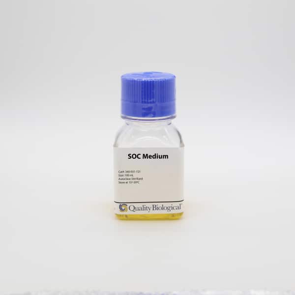 SOC Medium (100mL) is a ready-to-use microbial growth medium for transformation of competent E. coli cells.