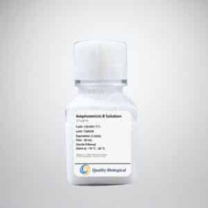 Amphotericin B, 250 µg/mL, 50 mL - 120097711