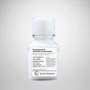 Amphotericin B/Penicillin/Streptomycin Mixture, 50 mL
