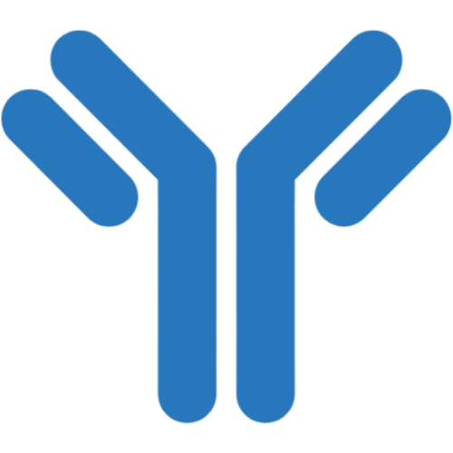 Antibody icon