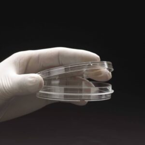 150mm x 20mm Tissue Culture Treated Dish