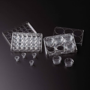 CellTreat Permeable Cell Culture Inserts