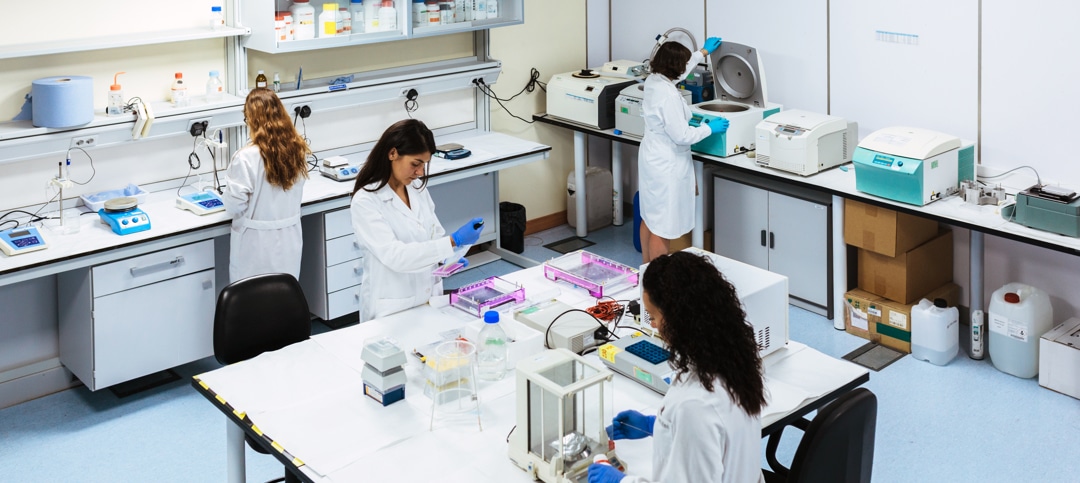 Quality Biological Team working on the Lab