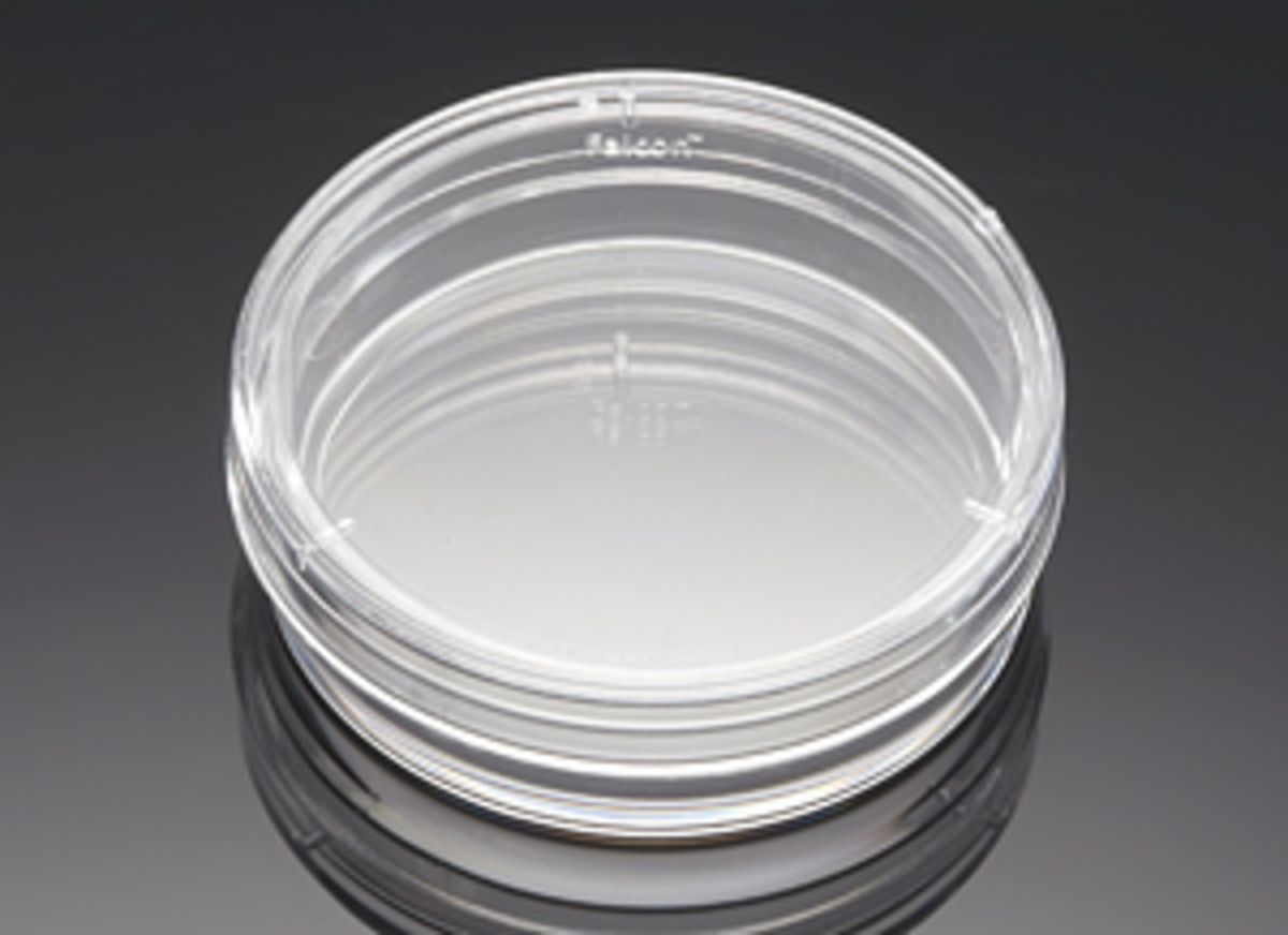 Corning® Primaria™ 35 mm x 10 mm Easy Grip Style Cell Culture Dish
