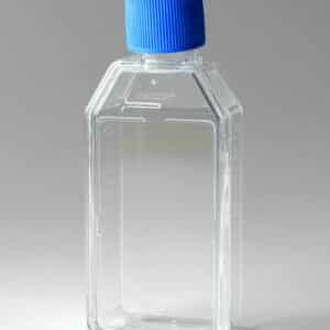 Falcon 25cm² Rectangular Canted Neck Cell Culture Flask with Vented Cap