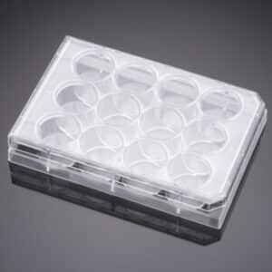Falcon® 12-well Clear Flat Bottom TC-treated Cell Culture Plate
