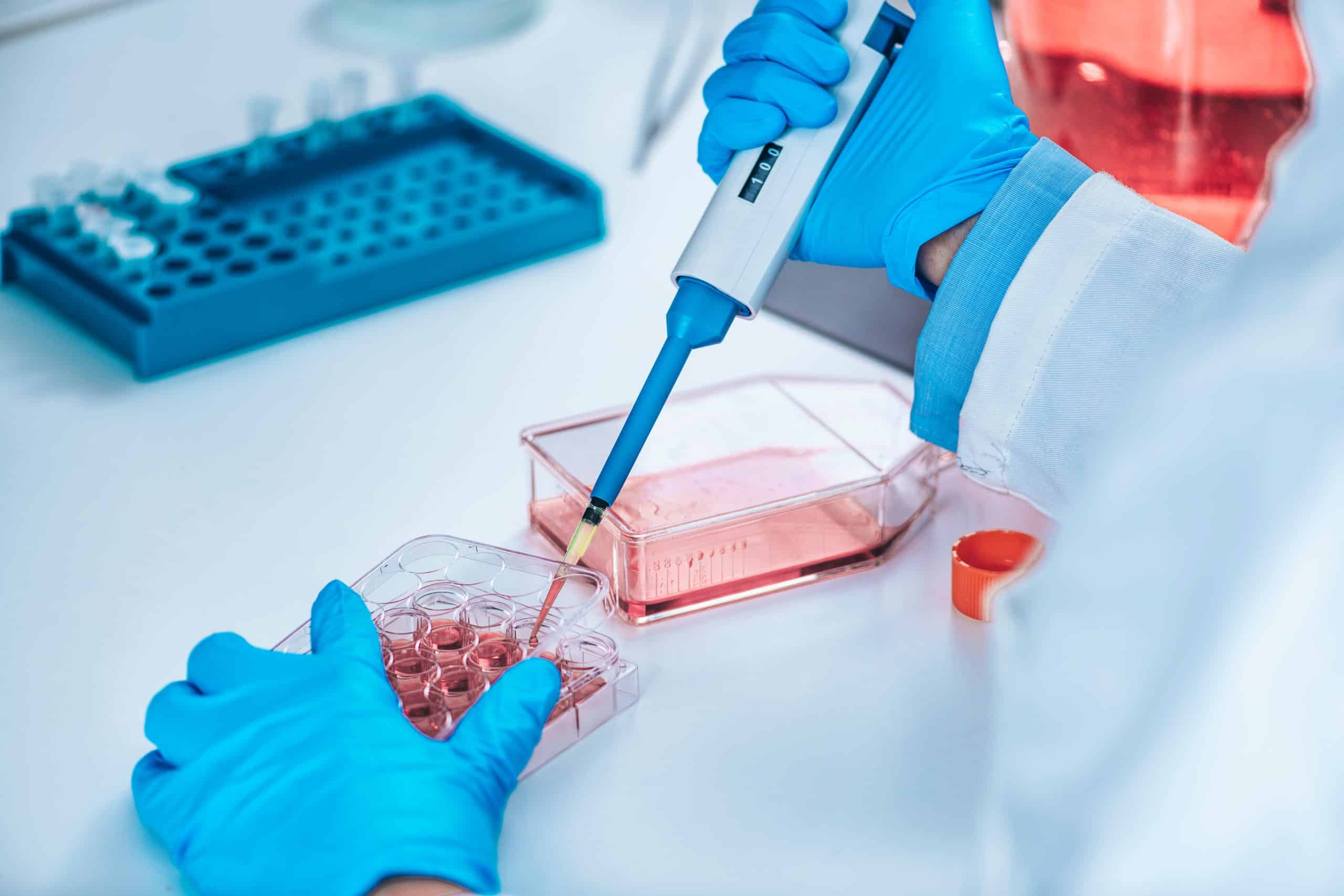 Cell Culture Solutions for High Performance
