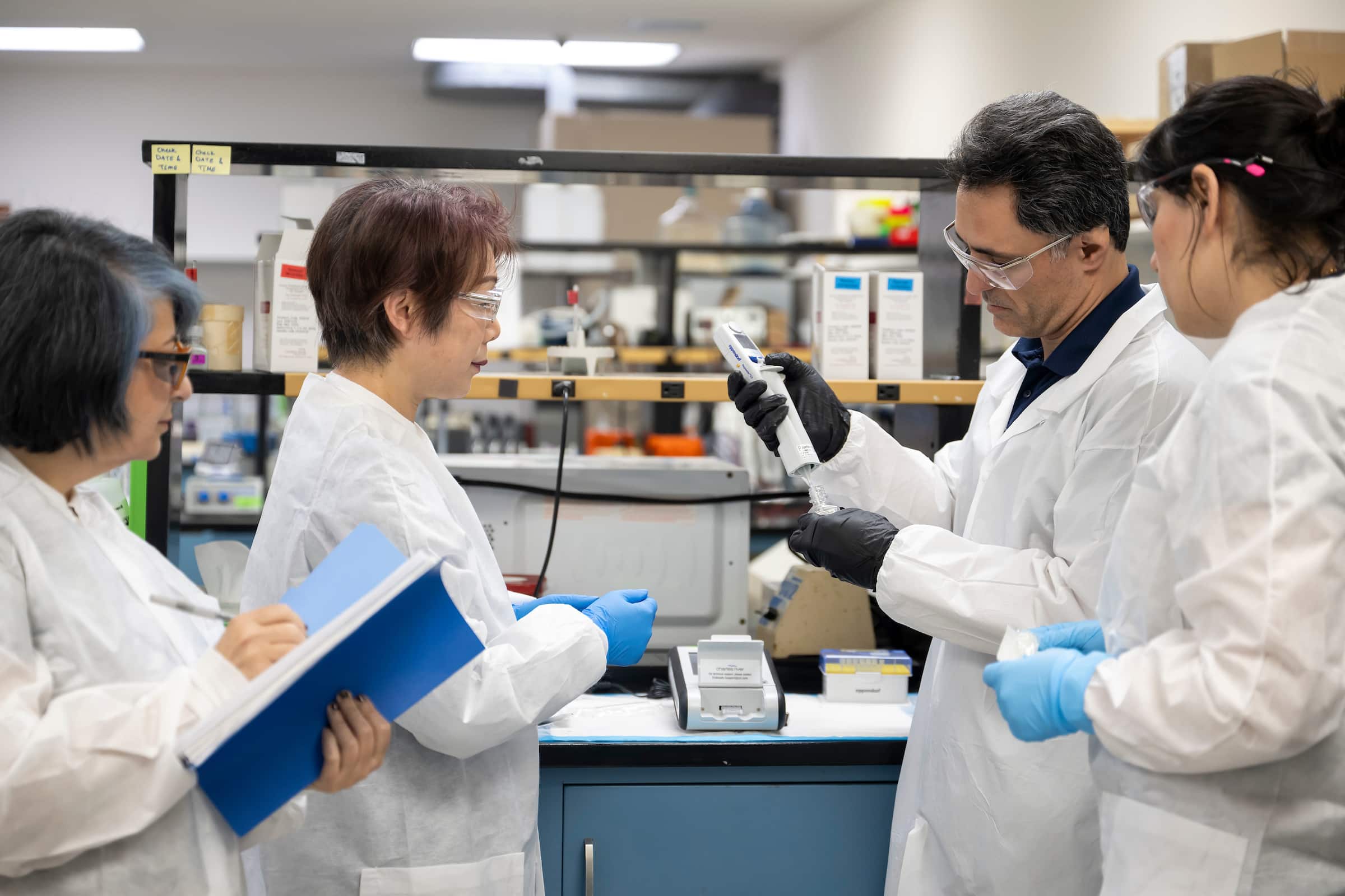 Our Team collaborates with you to provide you with personalized solutions