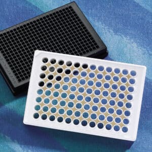 Corning 96 Well Flat Clear Poly-D-Lysine Coated Microplates