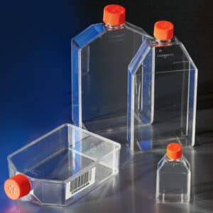 Corning® CellBIND® Rectangular Canted Neck Cell Culture Flask with Vent Cap