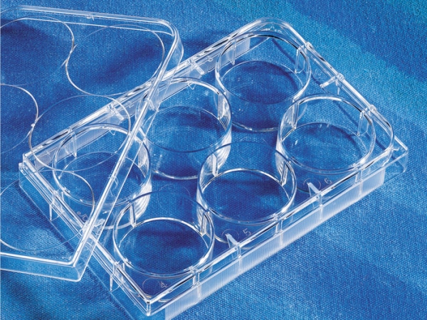 Costar® 6-well Clear Multiple Well Cell Culture Plates