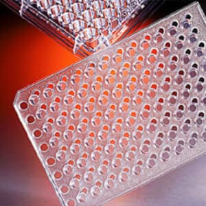 HTS Transwell® 96-well Permeable Support