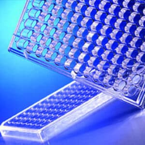 HTS Transwell®-96 Receiver Plate, Clear, Sterile