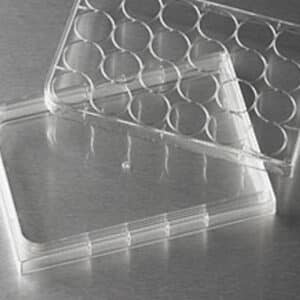 Costar HTS Transwell-24 Reservoir Plate, Clear, Not Treated, Sterile