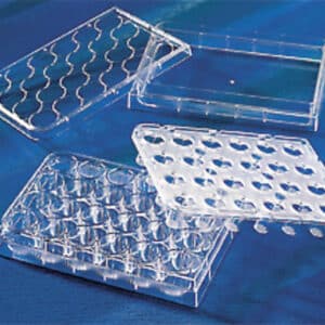 HTS Transwell®-24-well Permeable Support with Polycarbonate Membrane