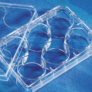 Costar® 6-well Clear Flat Bottom Ultra-Low Attachment Multiple Well Plates
