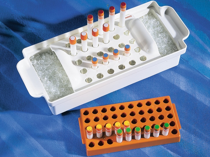 Corning Polypropylene Cryogenic Vial Rack, Holds 50 Vials Quality