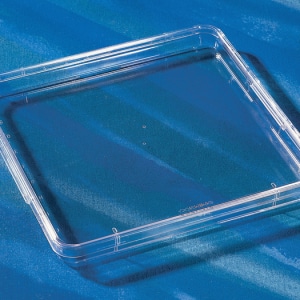 Corning® 245 mm Square BioAssay Dish with Handles, not TC-treated Culture