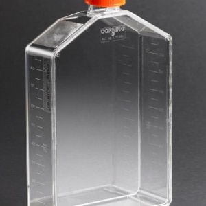 Corning® CellBIND® 225cm² Angled Neck Cell Culture Flask with Vent Cap