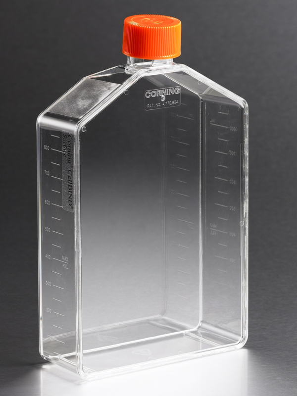 Corning® CellBIND® 225cm² Angled Neck Cell Culture Flask with Vent Cap