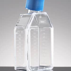 Falcon 25cm² Rectangular Canted Neck Cell Culture Flask with Plug Seal Screw Cap