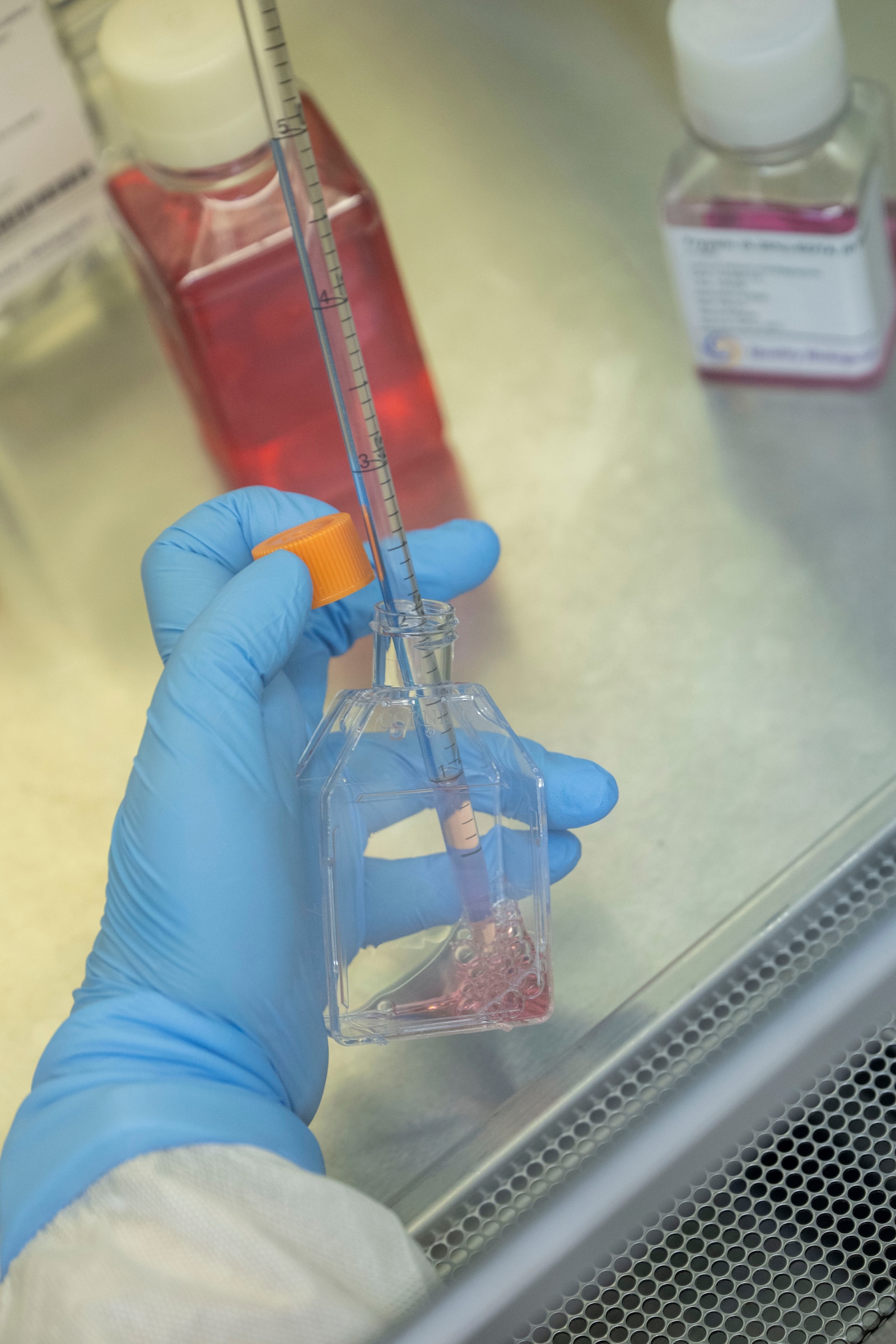 Cell Culture Customization Process