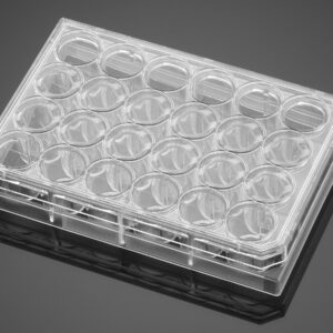Falcon® 24-well Multiwell Flat Bottom TC-treated Cell Culture Plate, with Lid, Sterile