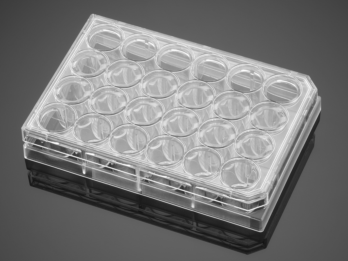 Falcon® 24-well Multiwell Flat Bottom TC-treated Cell Culture Plate, with Lid, Sterile