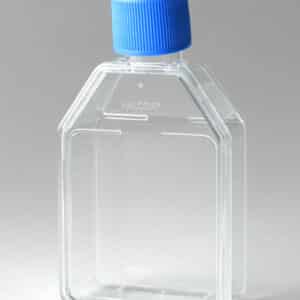 Falcon 25cm² Rectangular Canted Neck Cell Culture Flask with Vented Cap
