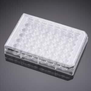 Falcon® 48-well Clear Flat Bottom Not Treated Multiwell Cell Culture Plate
