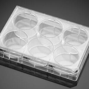 Falcon® 6-well Clear Flat Bottom TC-treated Cell Culture Plate