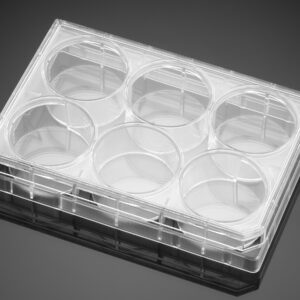 Falcon 6-well, clear, flat-bottom, multi-well cell culture plate